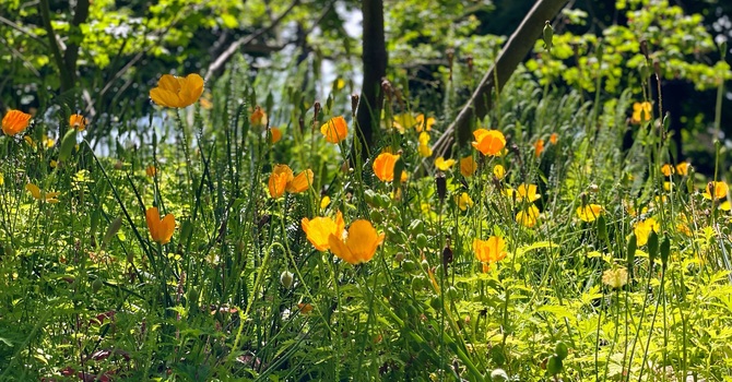 Grief and loss can be traumatic image