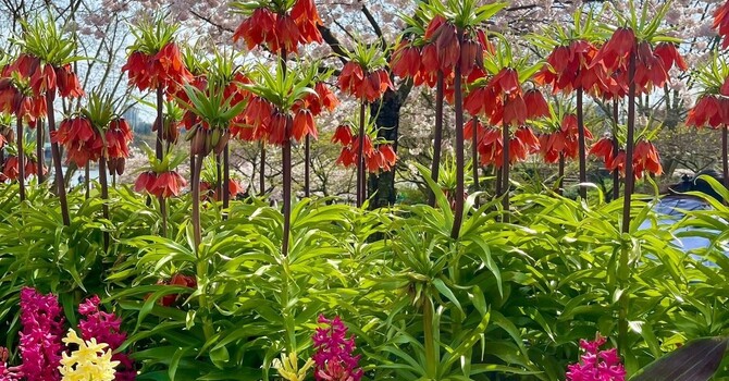 What can you do to cope with stress?